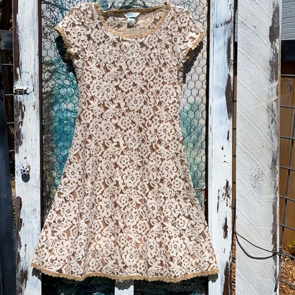 Fitted flattering lace dress. New with tags from Sundace!